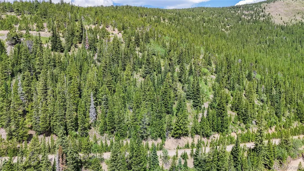 508 Hilltop Road Idaho Springs CO 80452