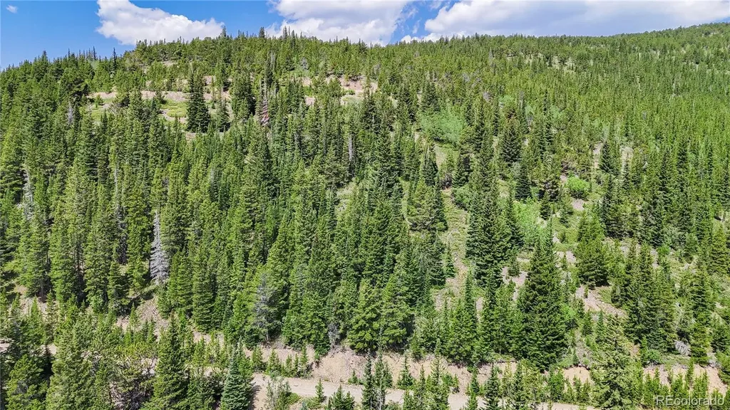 508 Hilltop Road Idaho Springs CO 80452