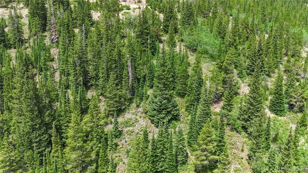 508 Hilltop Road Idaho Springs CO 80452