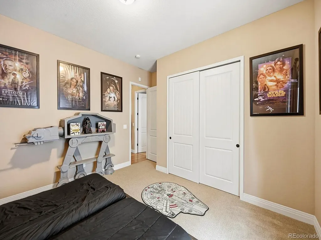 4439 Fell Mist Way Castle Rock CO 80109