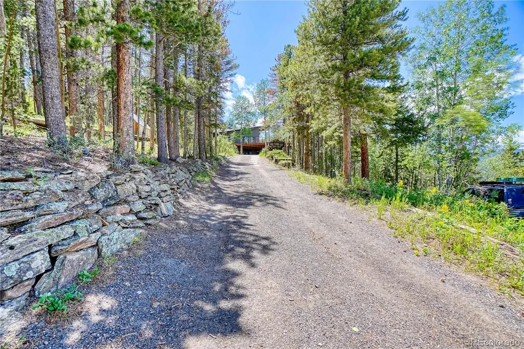 96 Ponderosa Drive Nederland CO 80466