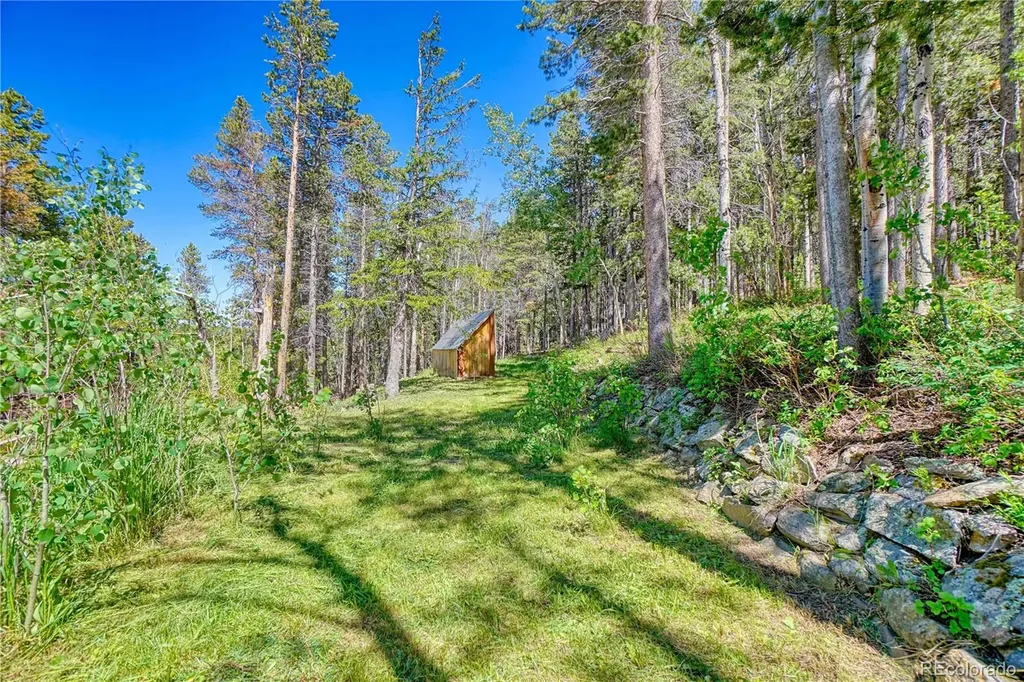 96 Ponderosa Drive Nederland CO 80466