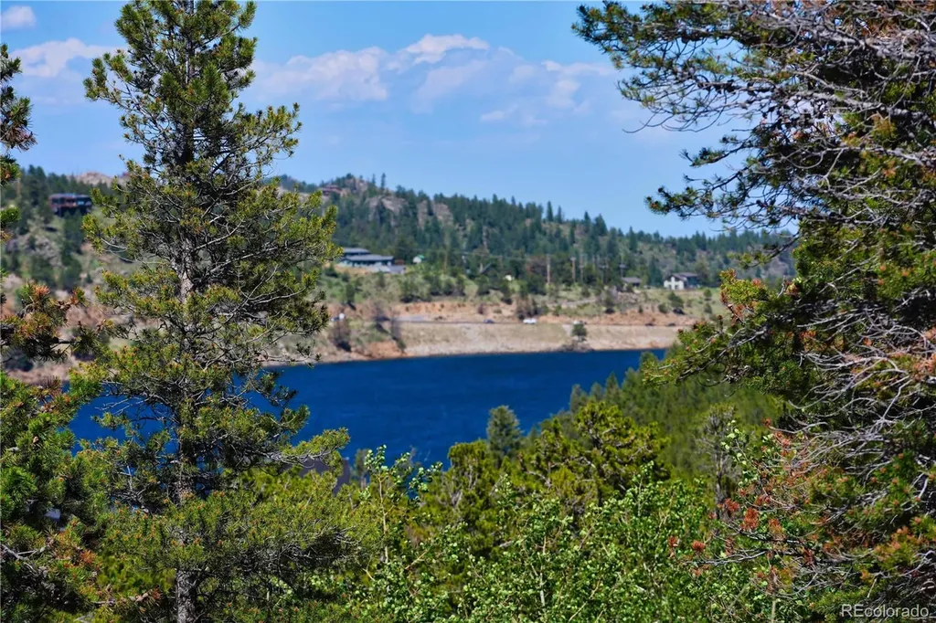 96 Ponderosa Drive Nederland CO 80466
