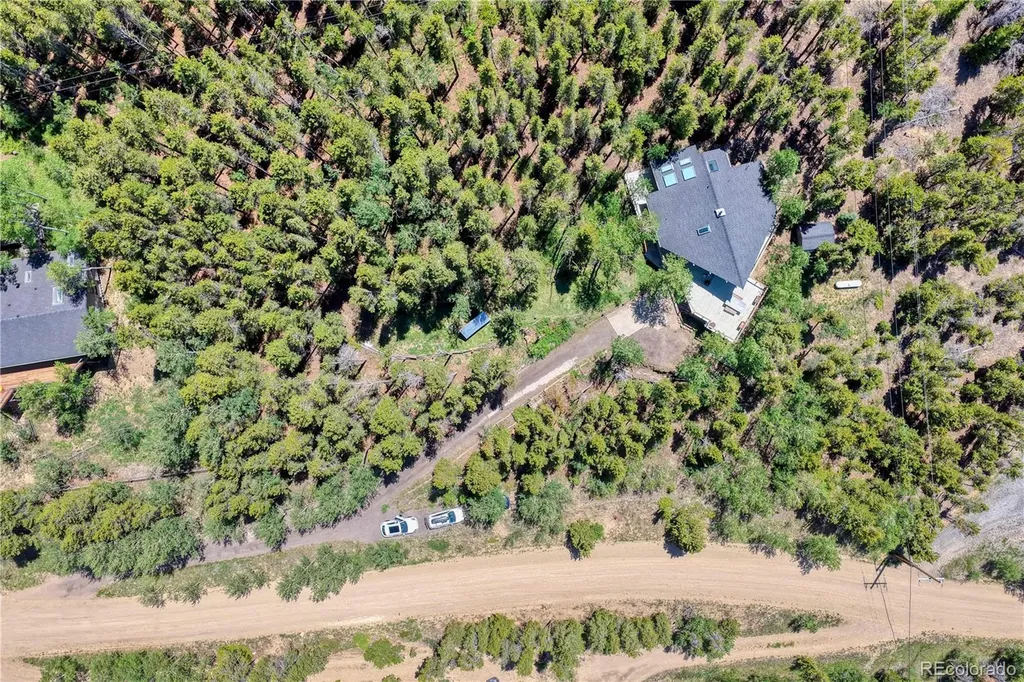 96 Ponderosa Drive Nederland CO 80466