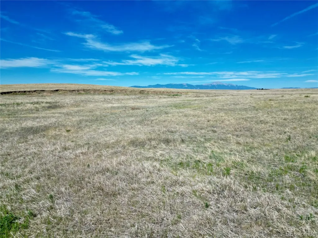 1710 Aldrin Place Colorado Springs CO 80929