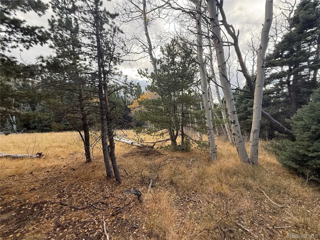 2662 Petito Drive Fort Garland CO 81133