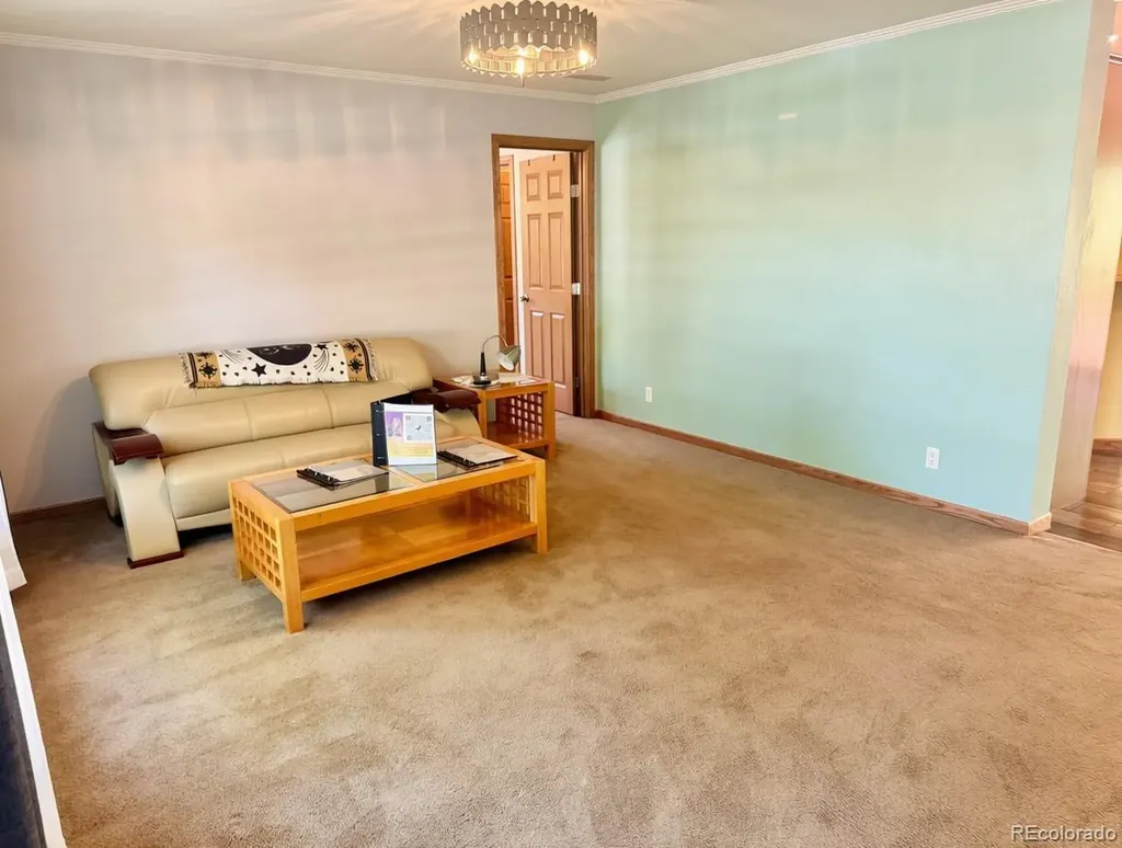 705 San Juan Avenue Saguache CO 81149