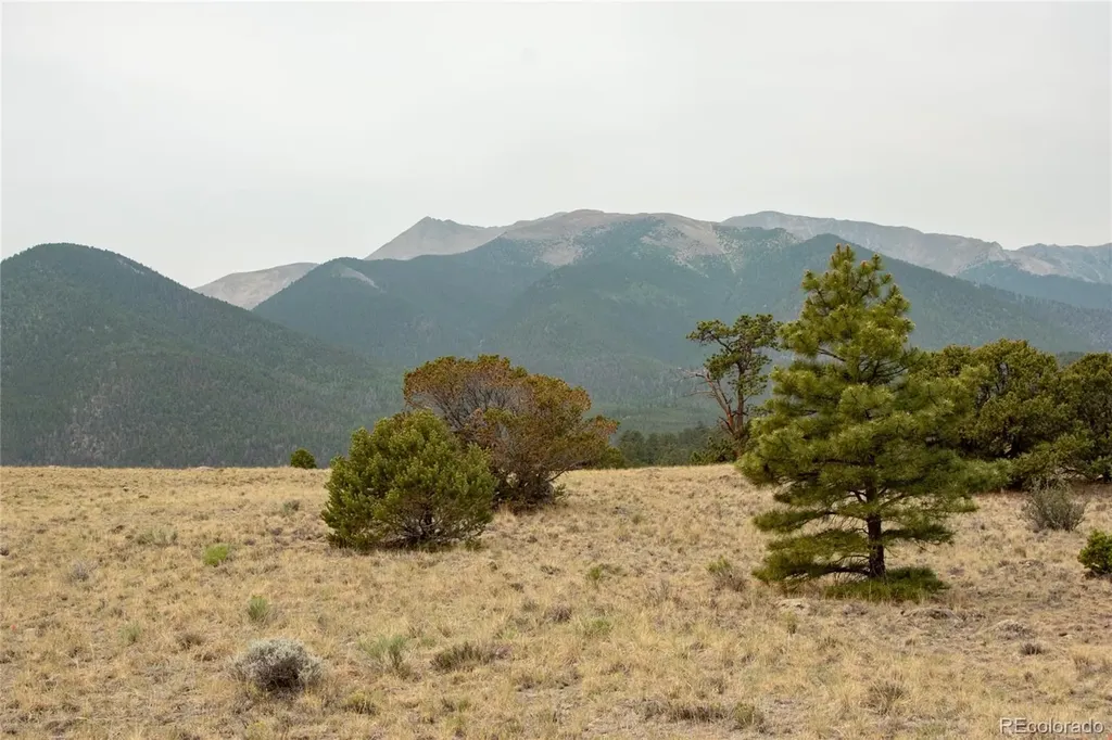 16090 Falcon Drive Nathrop CO 81236