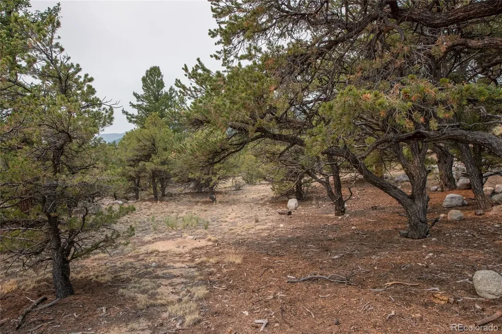 16090 Falcon Drive Nathrop CO 81236