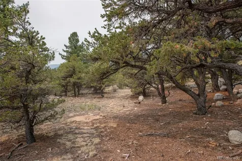 16090 Falcon Drive Nathrop CO 81236