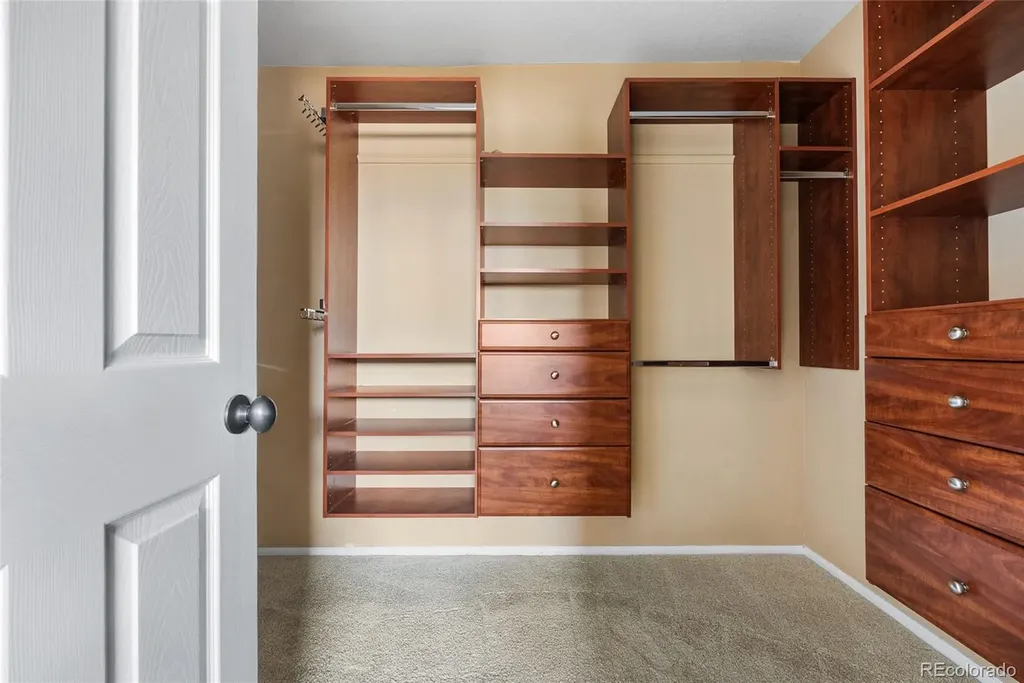 23149 Timber Spring Lane Parker CO 80138