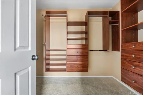 23149 Timber Spring Lane Parker CO 80138
