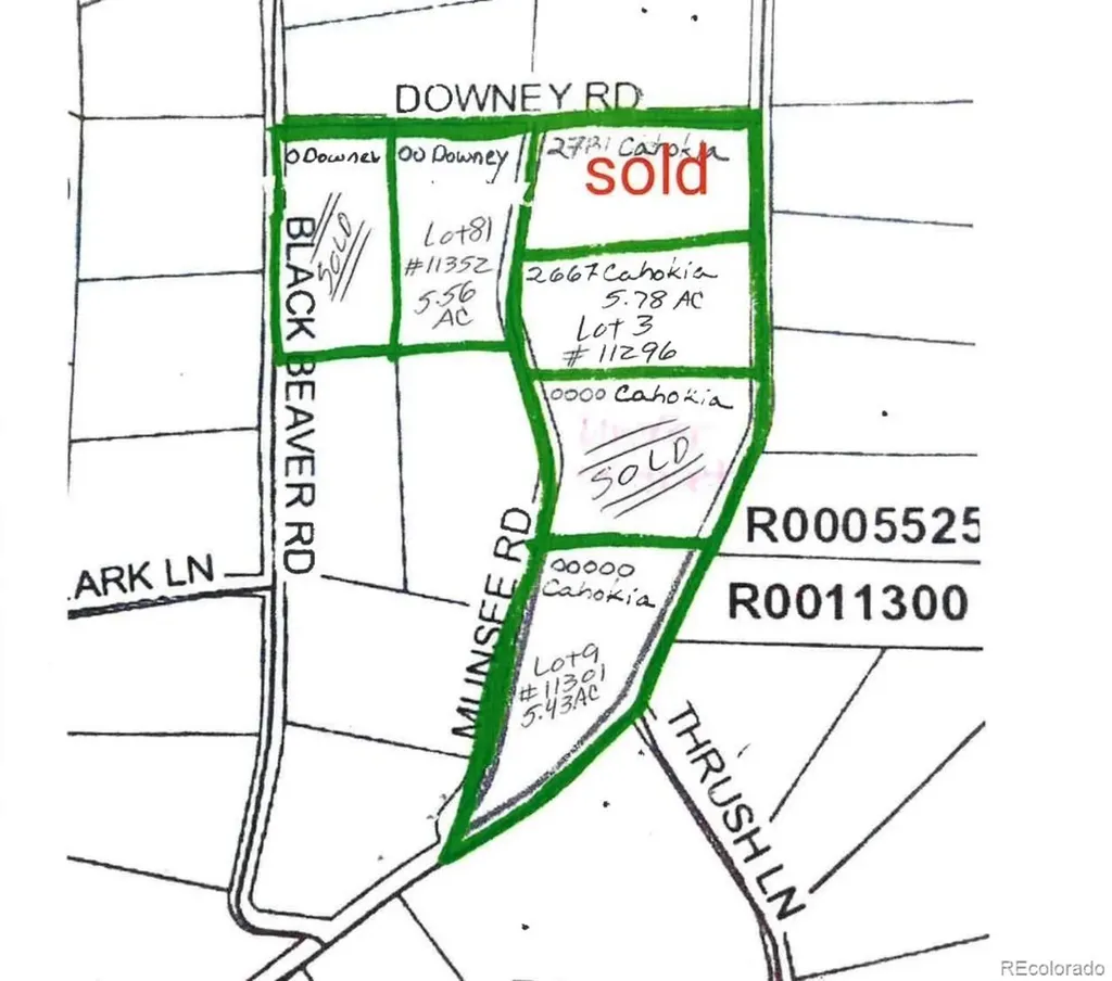 2667 Cahokia Road Hartsel CO 80449