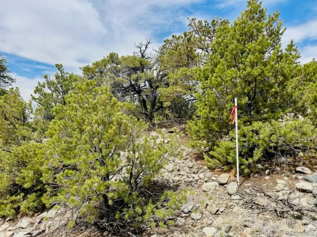 14 Nn18 Street Blanca CO 81123