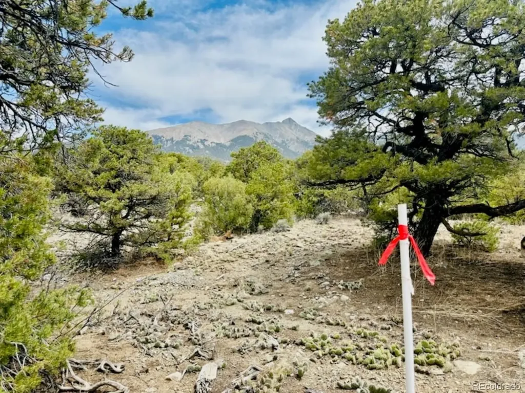 14 Nn18 Street Blanca CO 81123