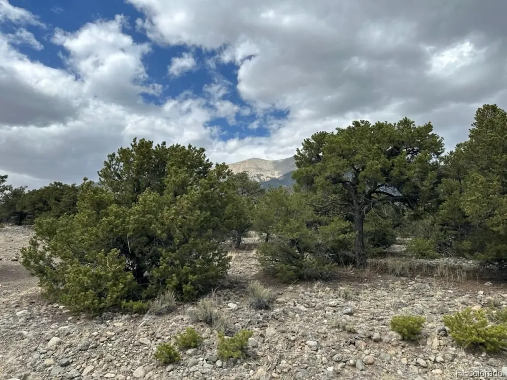 14 Nn18 Street Blanca CO 81123