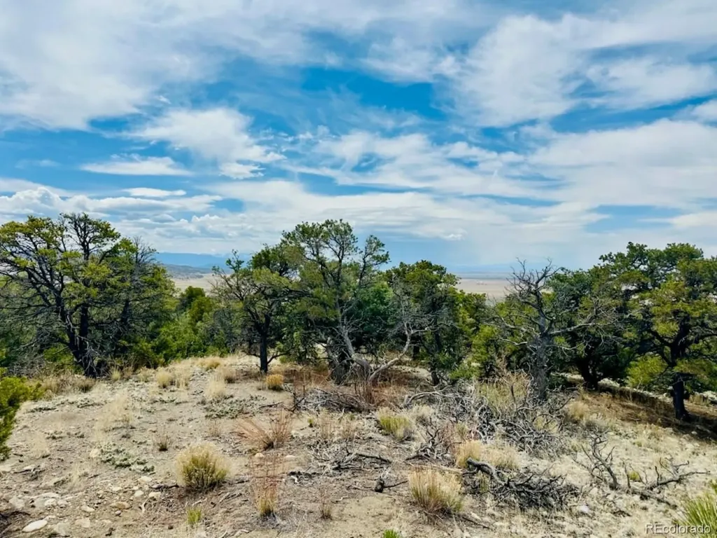 14 Nn18 Street Blanca CO 81123