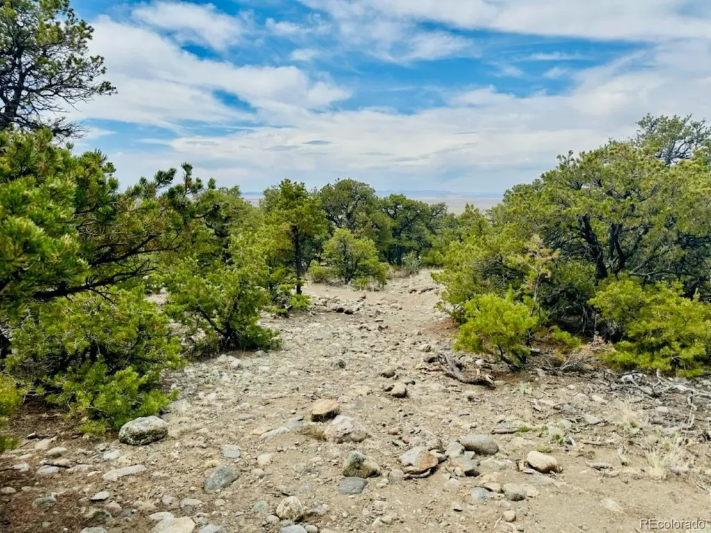 14 Nn18 Street Blanca CO 81123