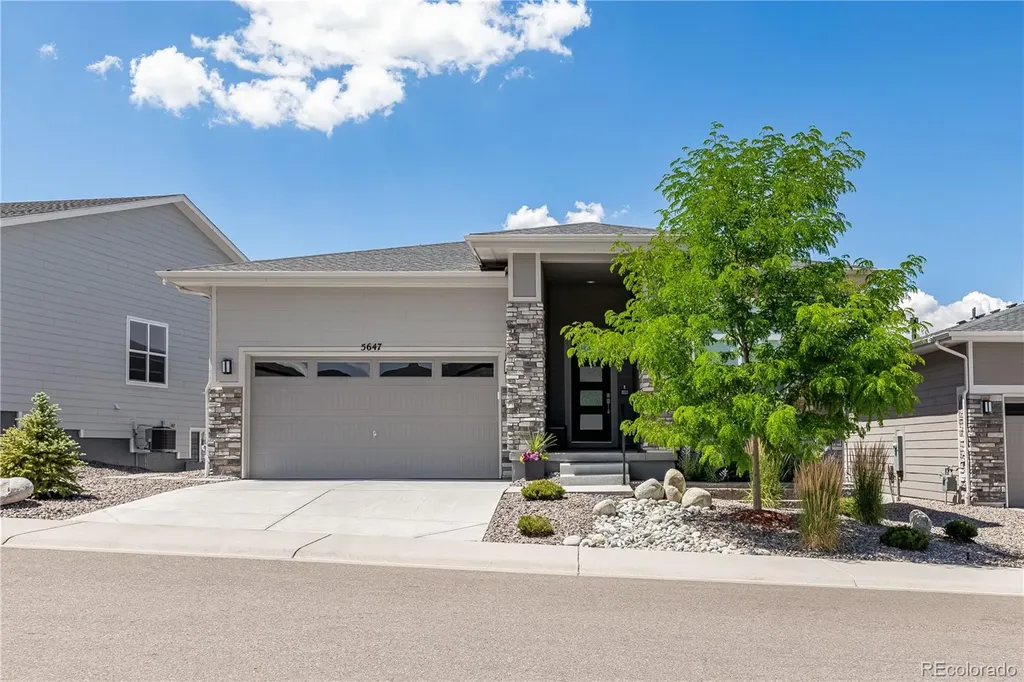 5647 Water Avens Drive Castle Rock CO 80104