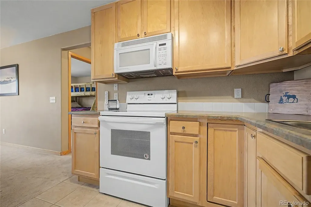 100 Wildernest Court Silverthorne CO 80498