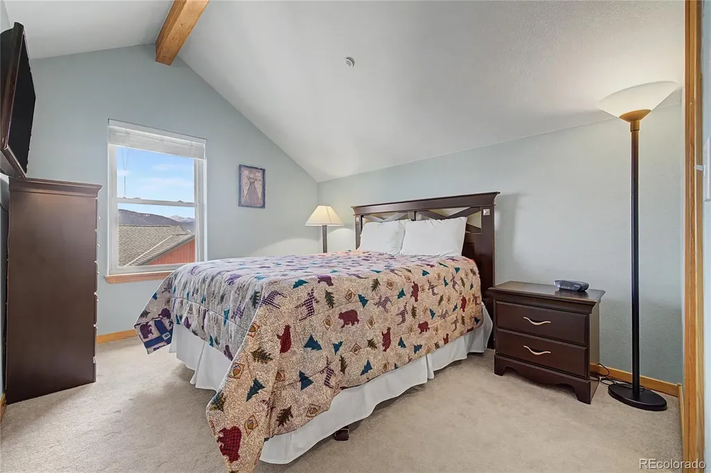 100 Wildernest Court Silverthorne CO 80498