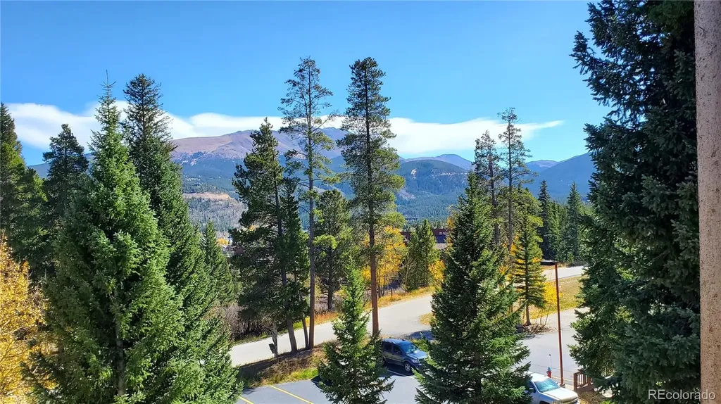 1001 Grandview Drive Breckenridge CO 80424