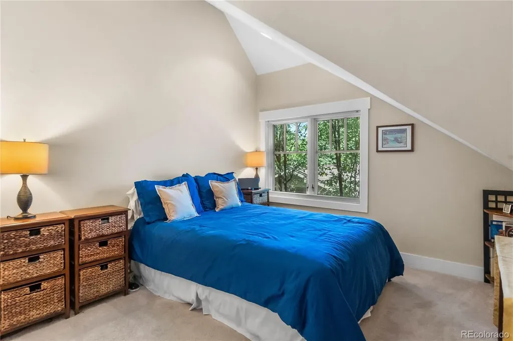 1910 S Corona Street Denver CO 80210
