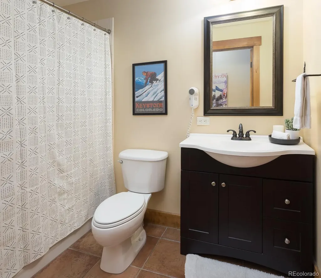 53 Hunki Dori Court Dillon CO 80435