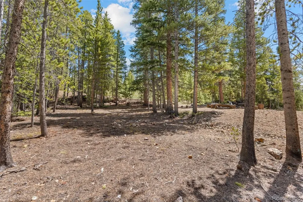 92 Emmett Lode Road Breckenridge CO 80424