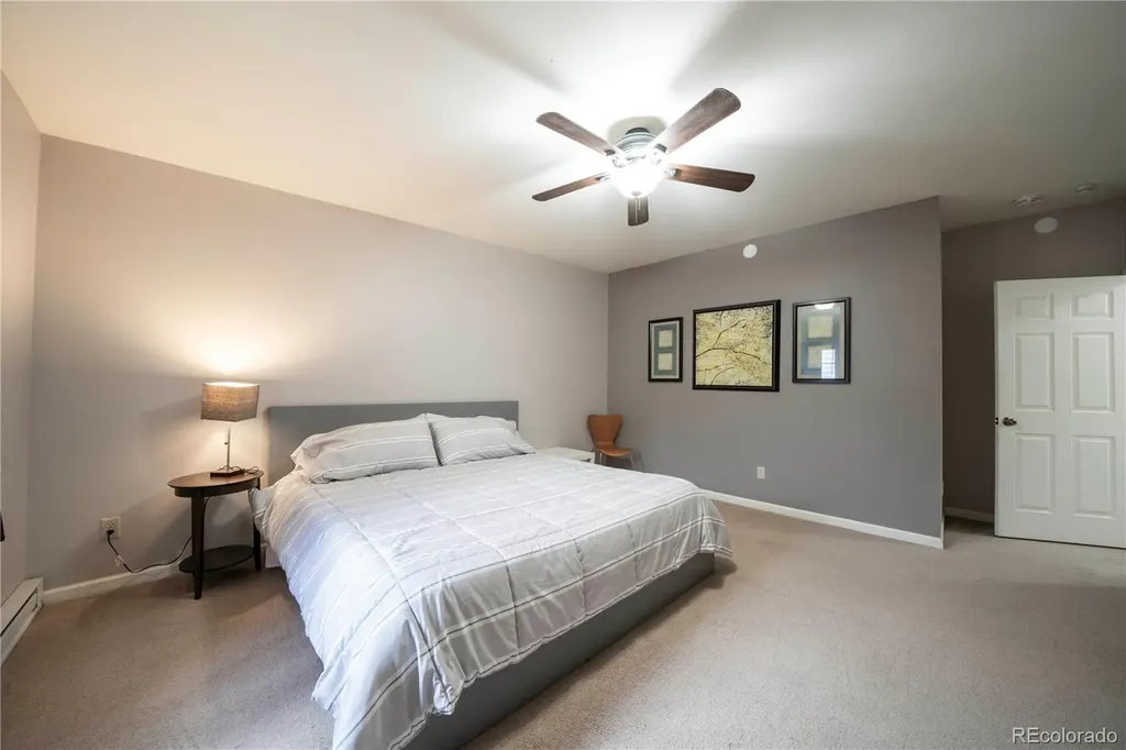 391 8th Street Fairplay CO 80440