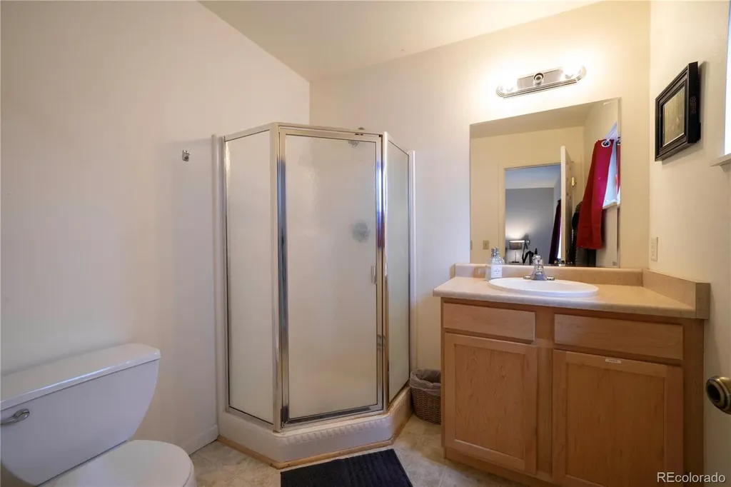391 8th Street Fairplay CO 80440