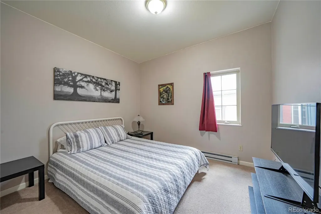 391 8th Street Fairplay CO 80440