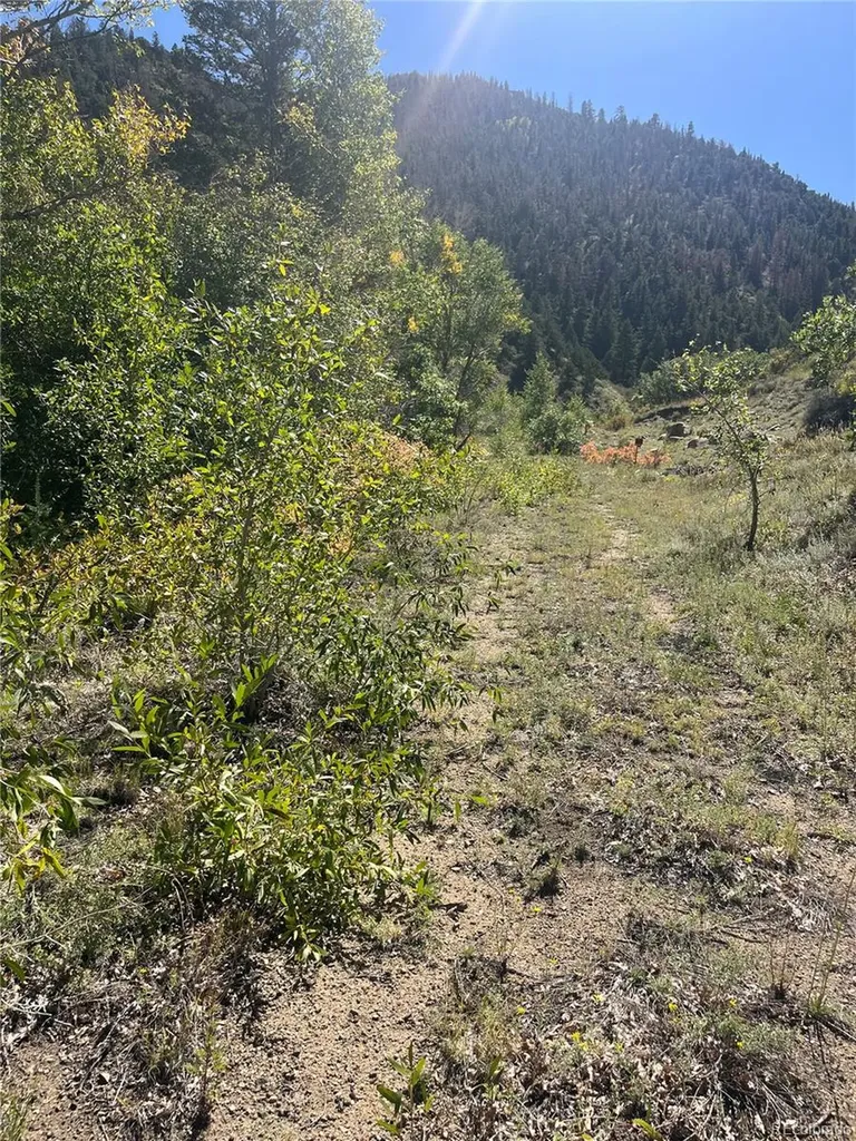 Hwy 285 South Poncha Springs CO 81242