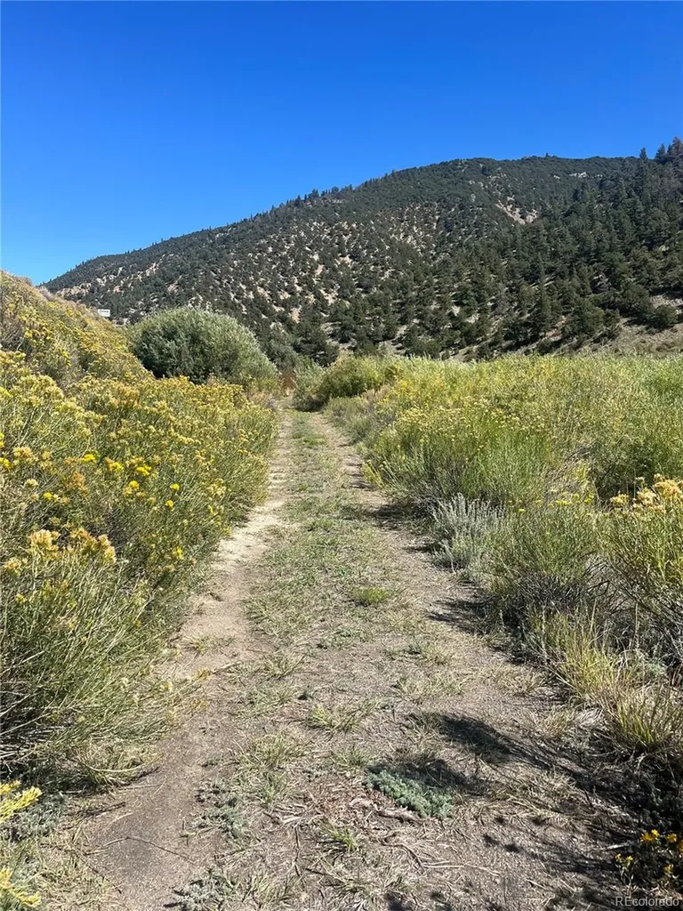 Hwy 285 South Poncha Springs CO 81242