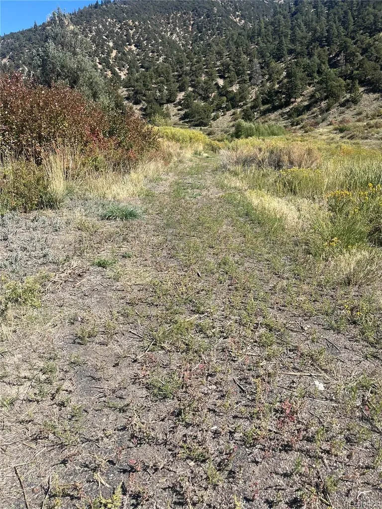 Hwy 285 South Poncha Springs CO 81242
