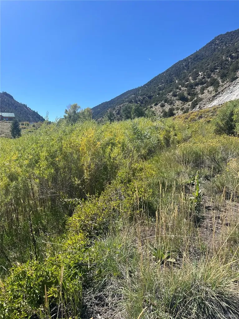 Hwy 285 South Poncha Springs CO 81242