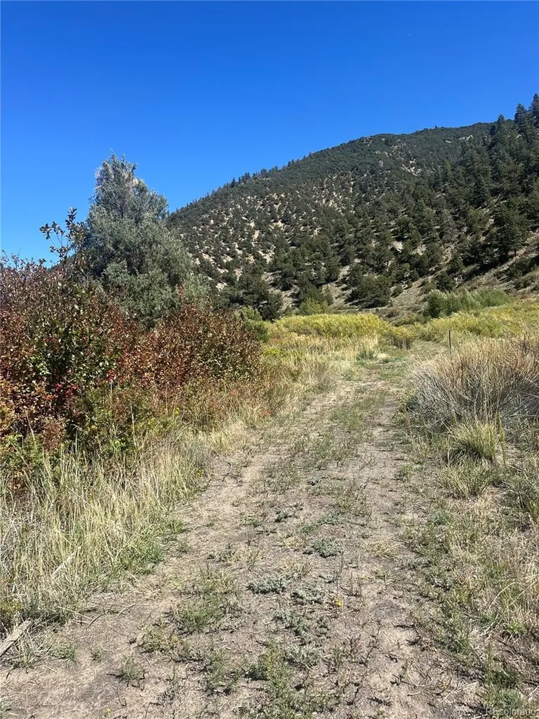 Hwy 285 South Poncha Springs CO 81242