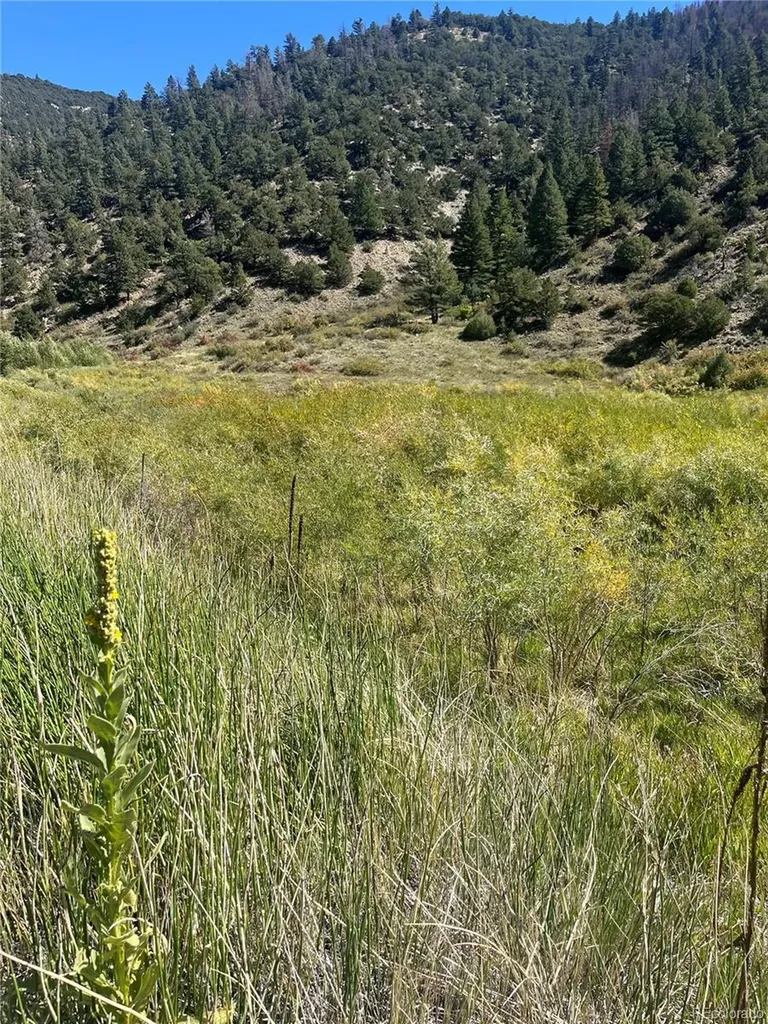 Hwy 285 South Poncha Springs CO 81242
