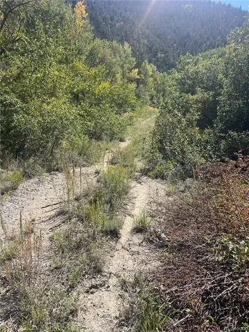 Hwy 285 South Poncha Springs CO 81242