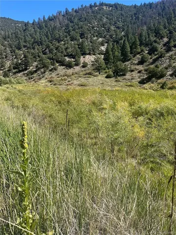 Hwy 285 South Poncha Springs CO 81242