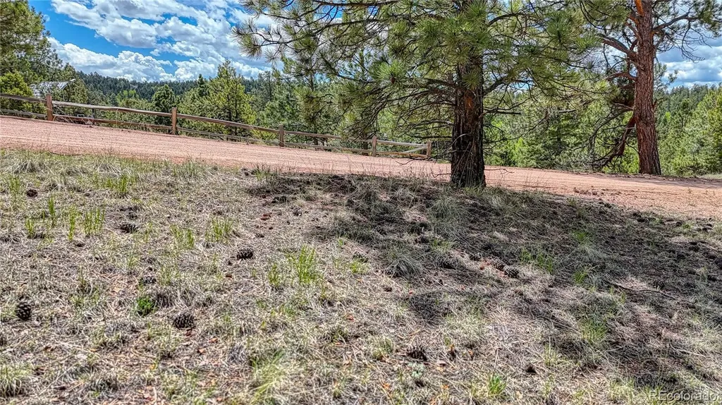 26 N Eldorado Circle Florissant CO 80816