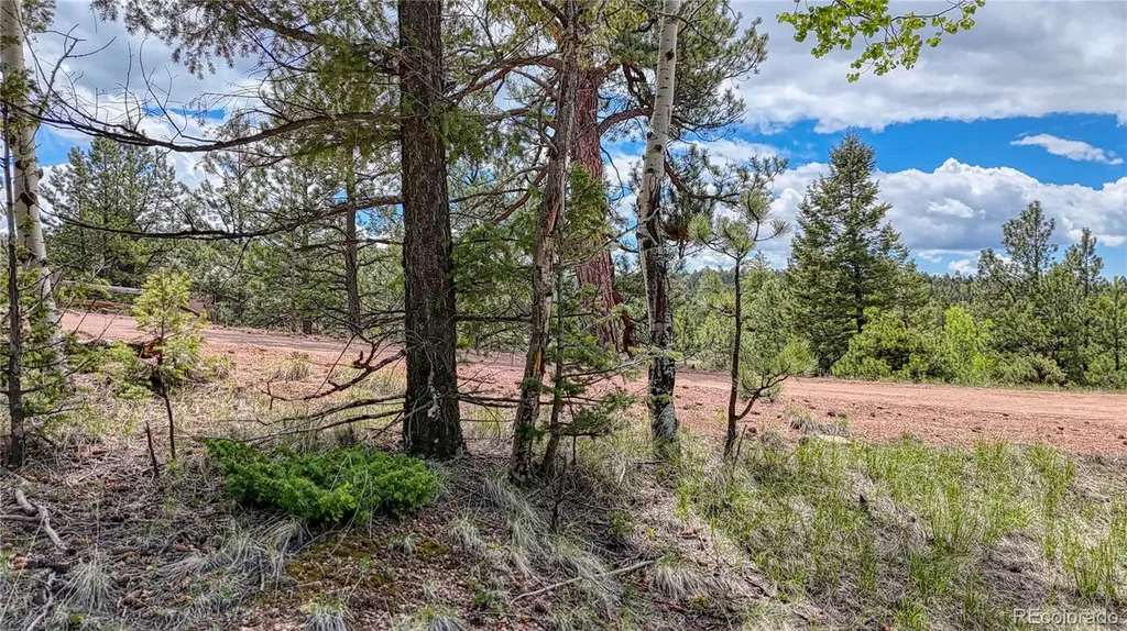 26 N Eldorado Circle Florissant CO 80816