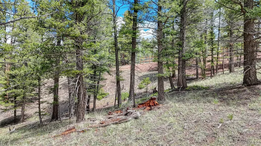26 N Eldorado Circle Florissant CO 80816
