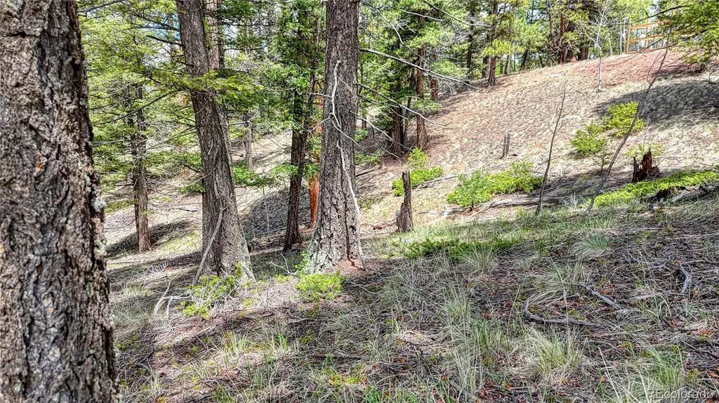 26 N Eldorado Circle Florissant CO 80816