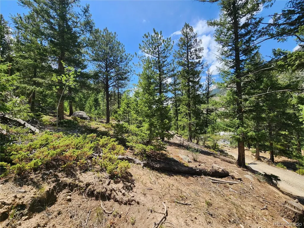 256 Capital Road Dumont CO 80436