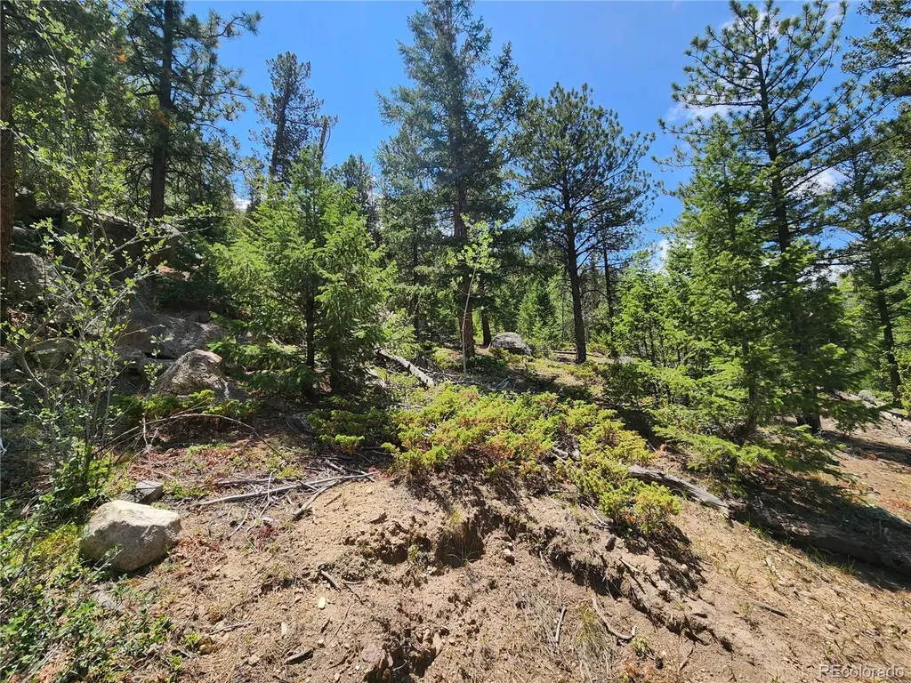 256 Capital Road Dumont CO 80436