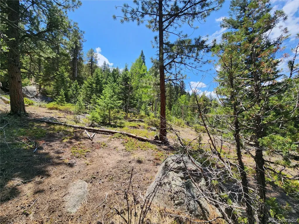 256 Capital Road Dumont CO 80436