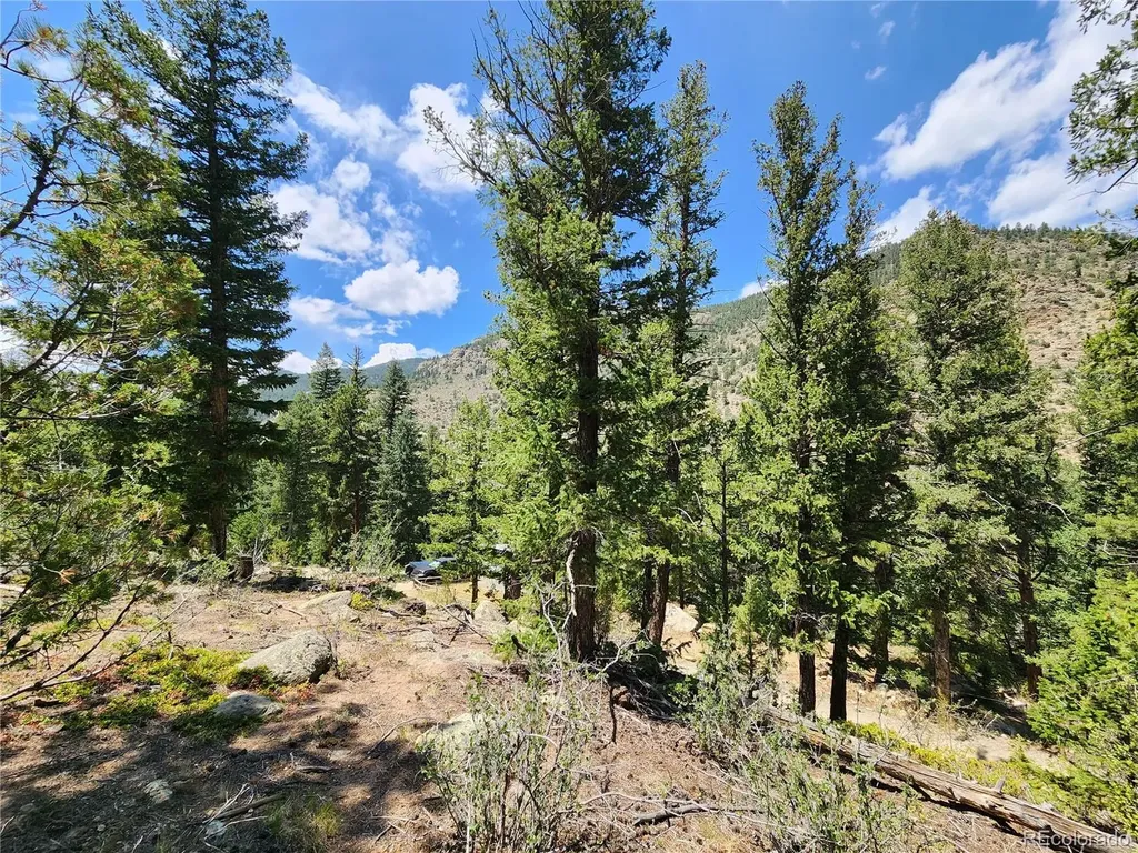 256 Capital Road Dumont CO 80436