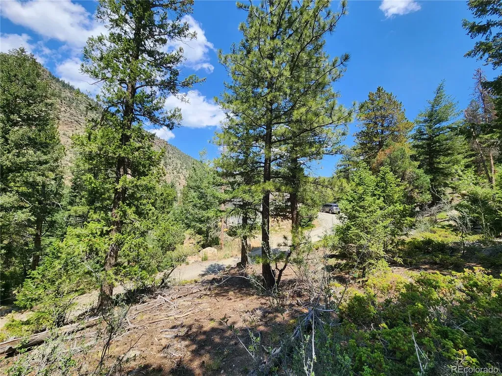 256 Capital Road Dumont CO 80436