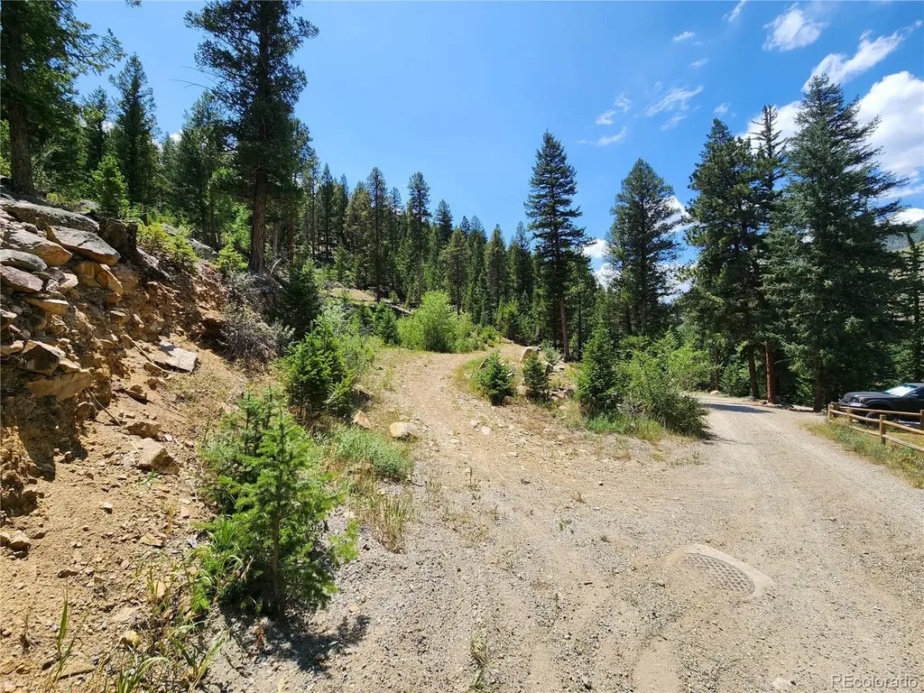 256 Capital Road Dumont CO 80436